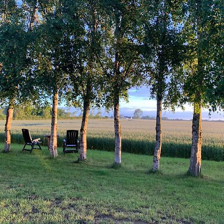 Idestrup Stunning Romantic Cabin Close To Baltic See מראה חיצוני תמונה