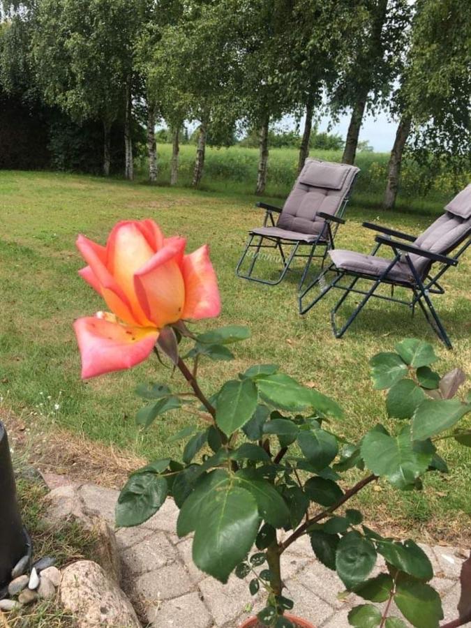 Idestrup Stunning Romantic Cabin Close To Baltic See מראה חיצוני תמונה