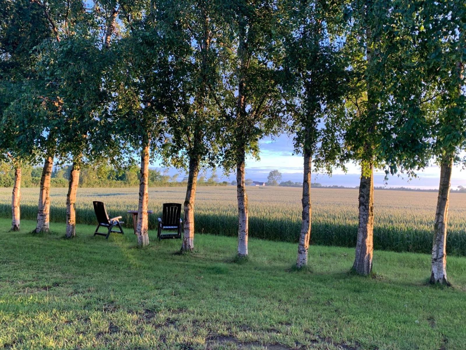 Idestrup Stunning Romantic Cabin Close To Baltic See מראה חיצוני תמונה